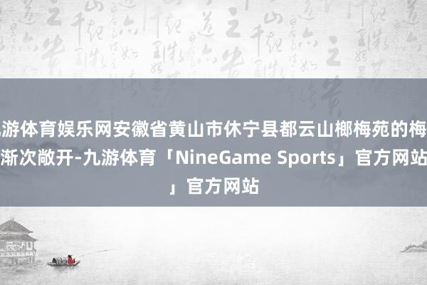 九游体育娱乐网安徽省黄山市休宁县都云山榔梅苑的梅花渐次敞开-九游体育「NineGame Sports」官方网站